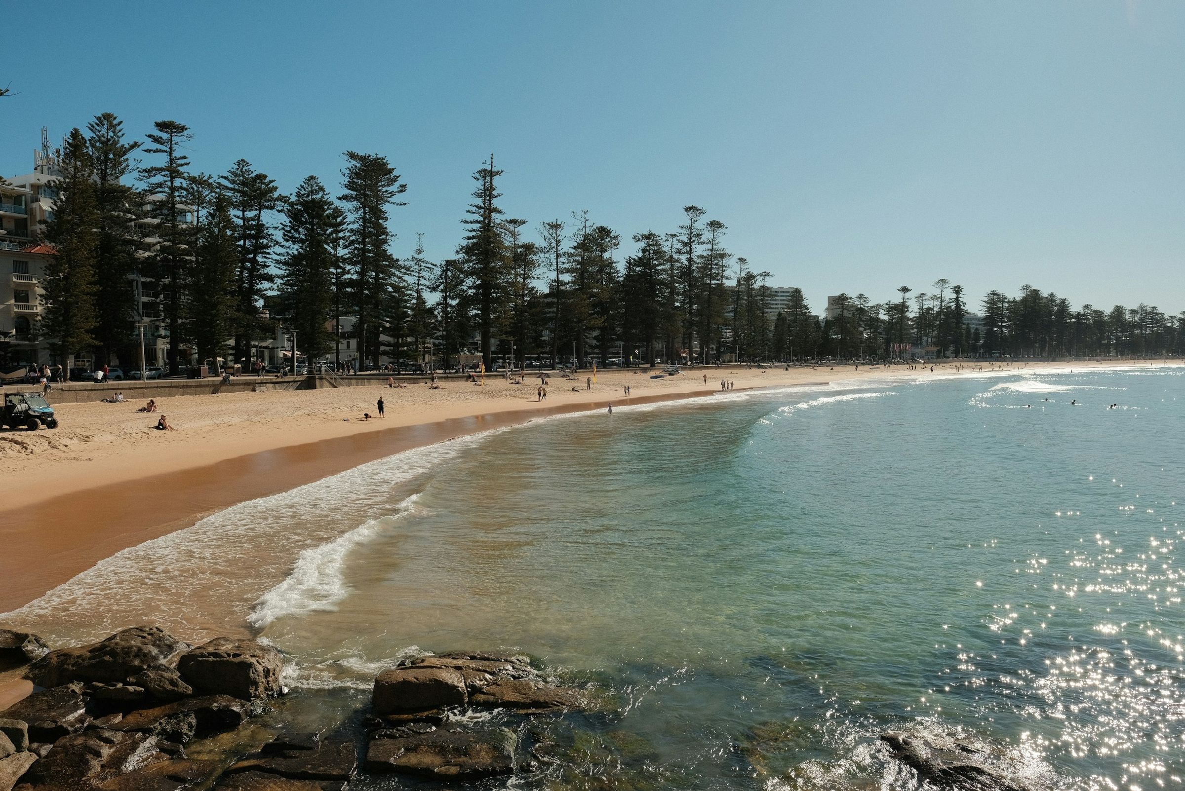 Manly Beach, with the Norfolk pines along the promenade